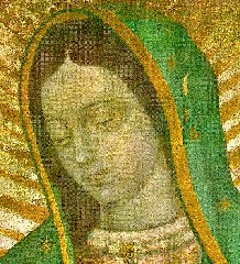 ROSTO-GUADALUPE.jpg (102273 bytes)